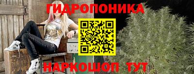таблы Ставрополь