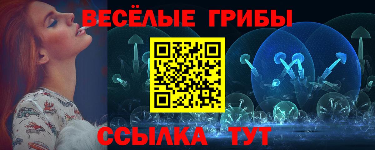Галлюциногенные грибы GOLDEN TEACHER  купить   Обнинск  Вход с VPN 